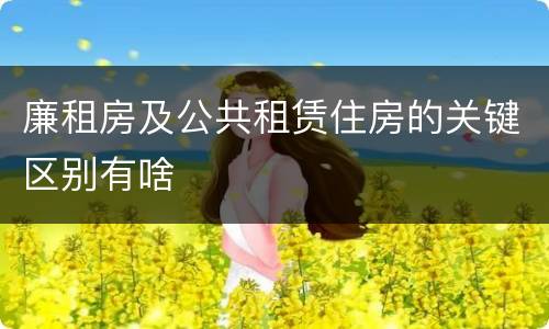 廉租房及公共租赁住房的关键区别有啥