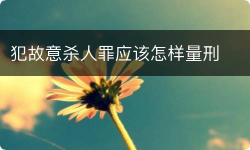 犯故意杀人罪应该怎样量刑