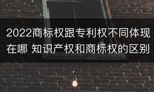 2022商标权跟专利权不同体现在哪 知识产权和商标权的区别