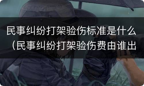 民事纠纷打架验伤标准是什么（民事纠纷打架验伤费由谁出）