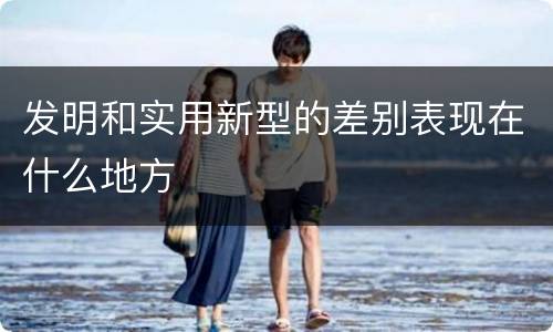 发明和实用新型的差别表现在什么地方