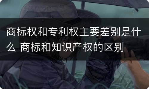 商标权和专利权主要差别是什么 商标和知识产权的区别