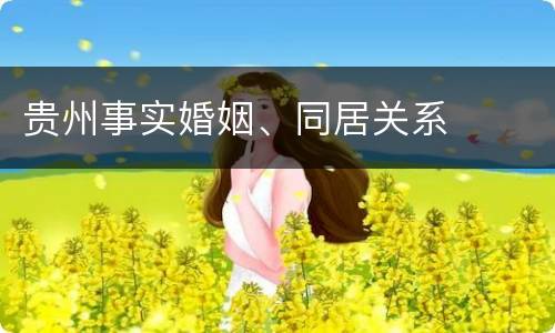 贵州事实婚姻、同居关系