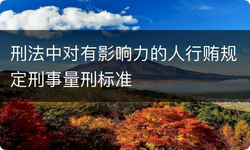 刑法中对有影响力的人行贿规定刑事量刑标准