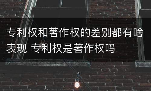 专利权和著作权的差别都有啥表现 专利权是著作权吗