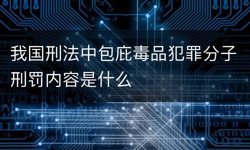 我国刑法中包庇毒品犯罪分子刑罚内容是什么