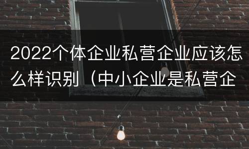 2022个体企业私营企业应该怎么样识别（中小企业是私营企业吗）