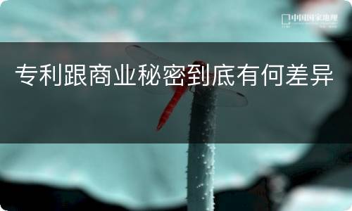 专利跟商业秘密到底有何差异