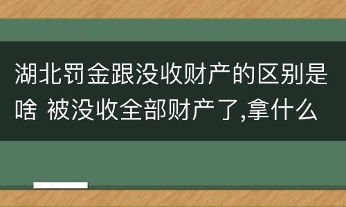 湖北罚金跟没收财产的区别是啥 被没收全部财产了,拿什么交罚金