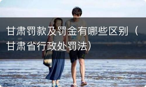 甘肃罚款及罚金有哪些区别（甘肃省行政处罚法）