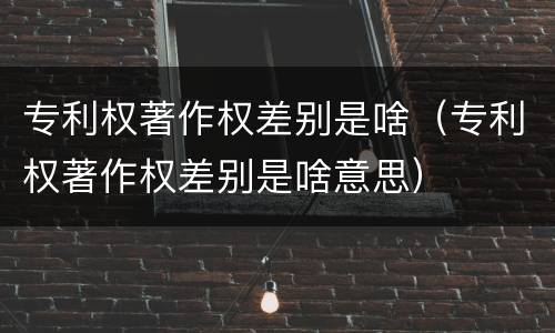 专利权著作权差别是啥（专利权著作权差别是啥意思）