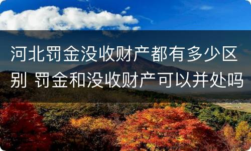 河北罚金没收财产都有多少区别 罚金和没收财产可以并处吗