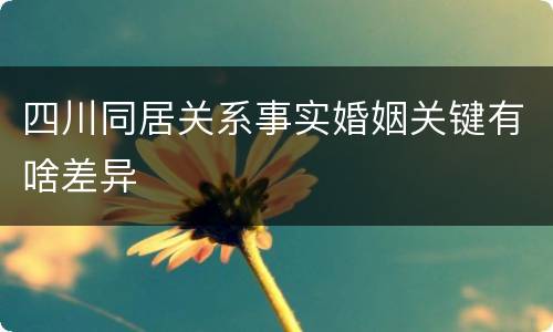 四川同居关系事实婚姻关键有啥差异