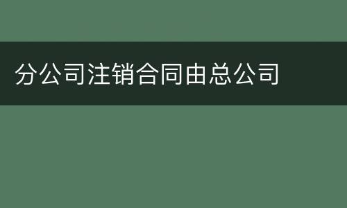 分公司注销合同由总公司
