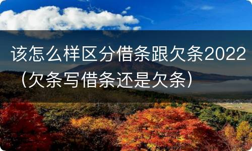 该怎么样区分借条跟欠条2022（欠条写借条还是欠条）