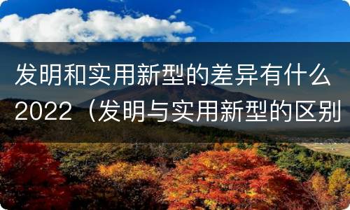 发明和实用新型的差异有什么2022（发明与实用新型的区别）