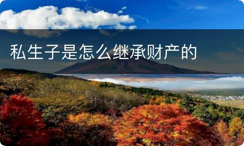 私生子是怎么继承财产的