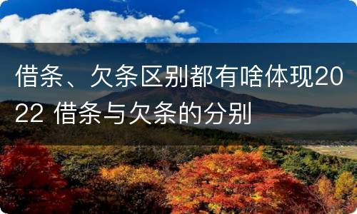 借条、欠条区别都有啥体现2022 借条与欠条的分别