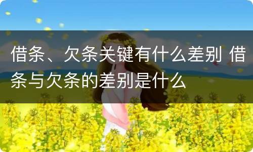 借条、欠条关键有什么差别 借条与欠条的差别是什么
