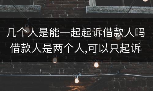 几个人是能一起起诉借款人吗 借款人是两个人,可以只起诉一个人吗