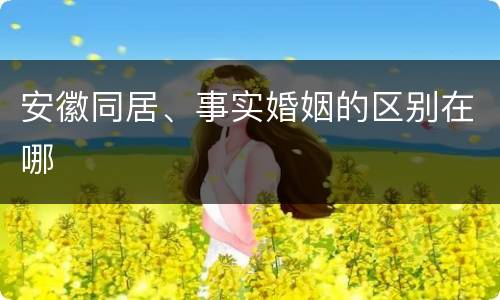 安徽同居、事实婚姻的区别在哪