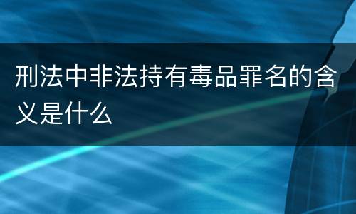 刑法中非法持有毒品罪名的含义是什么