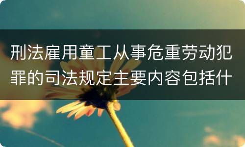 刑法雇用童工从事危重劳动犯罪的司法规定主要内容包括什么