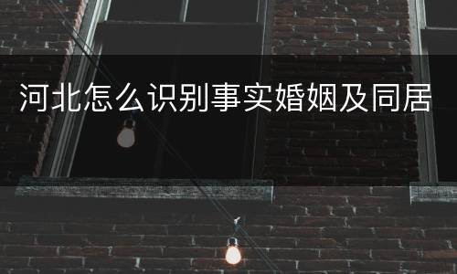 河北怎么识别事实婚姻及同居