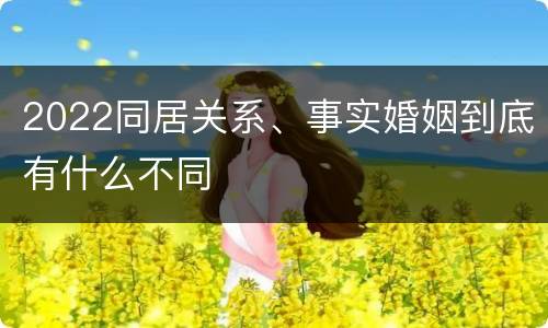 2022同居关系、事实婚姻到底有什么不同