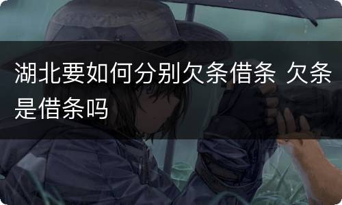 湖北要如何分别欠条借条 欠条是借条吗