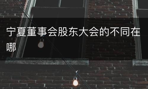 宁夏董事会股东大会的不同在哪