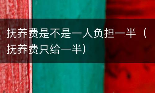 抚养费是不是一人负担一半（抚养费只给一半）