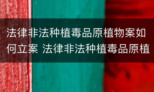 法律非法种植毒品原植物案如何立案 法律非法种植毒品原植物案如何立案的