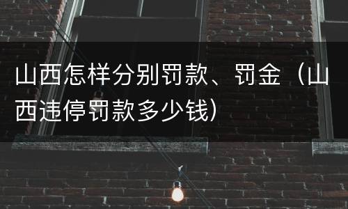 山西怎样分别罚款、罚金（山西违停罚款多少钱）