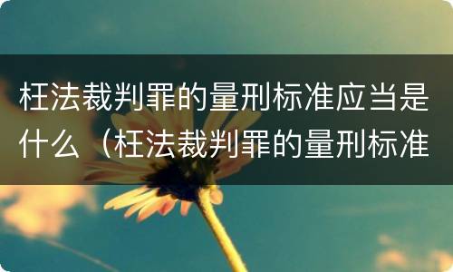 枉法裁判罪的量刑标准应当是什么（枉法裁判罪的量刑标准应当是什么）