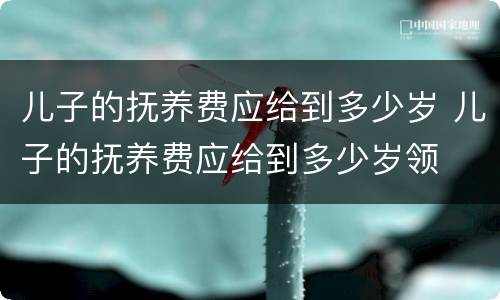 儿子的抚养费应给到多少岁 儿子的抚养费应给到多少岁领