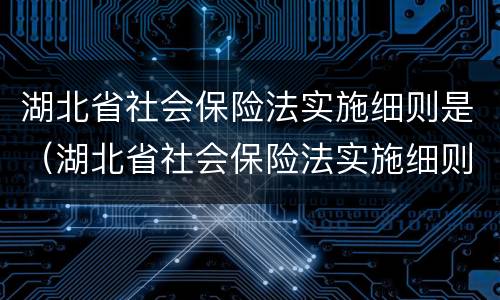 湖北省社会保险法实施细则是（湖北省社会保险法实施细则是什么）