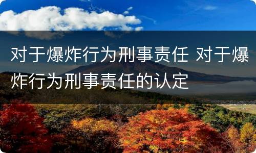 对于爆炸行为刑事责任 对于爆炸行为刑事责任的认定