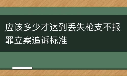 应该多少才达到丢失枪支不报罪立案追诉标准