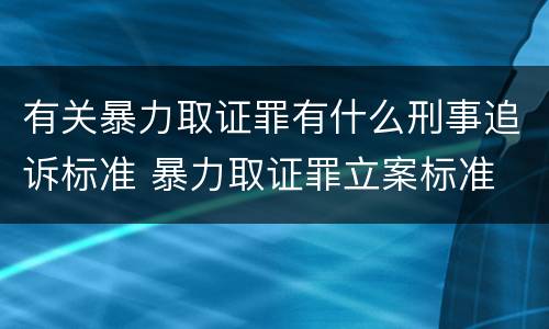 有关暴力取证罪有什么刑事追诉标准 暴力取证罪立案标准