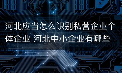 河北应当怎么识别私营企业个体企业 河北中小企业有哪些