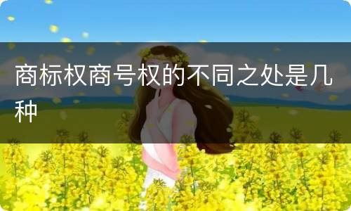 商标权商号权的不同之处是几种