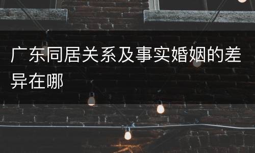 广东同居关系及事实婚姻的差异在哪