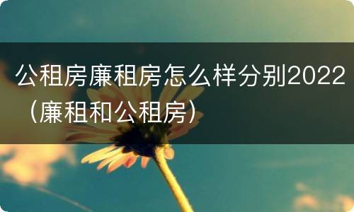 公租房廉租房怎么样分别2022（廉租和公租房）