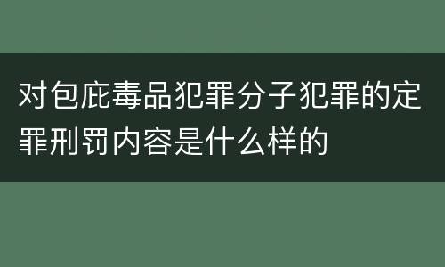 对包庇毒品犯罪分子犯罪的定罪刑罚内容是什么样的