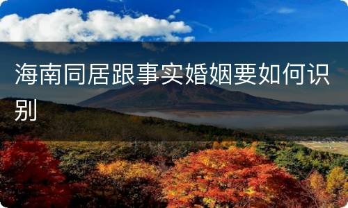 海南同居跟事实婚姻要如何识别