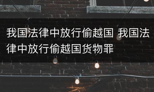 我国法律中放行偷越国 我国法律中放行偷越国货物罪