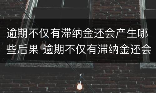 逾期不仅有滞纳金还会产生哪些后果 逾期不仅有滞纳金还会产生哪些后果呢