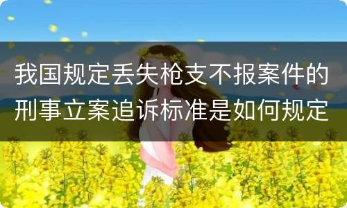 我国规定丢失枪支不报案件的刑事立案追诉标准是如何规定