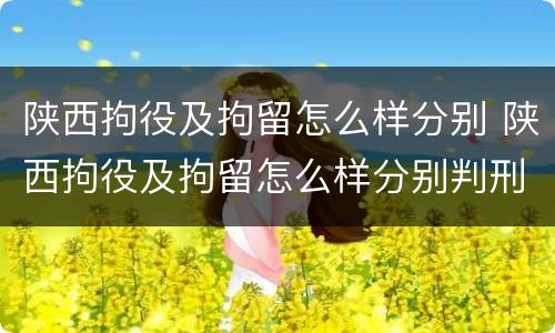 陕西拘役及拘留怎么样分别 陕西拘役及拘留怎么样分别判刑